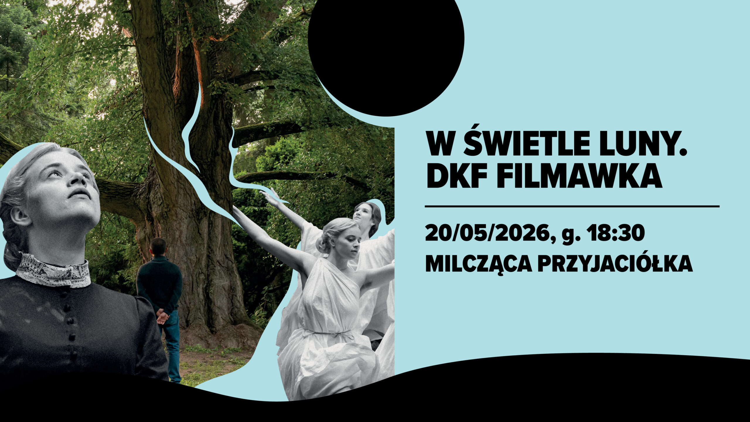 W świetle Luny. DKF FILMAWKA